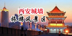 完美作业网AV中国陕西-西安城墙旅游风景区